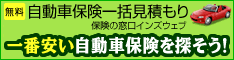 インズウェブ自動車保険
